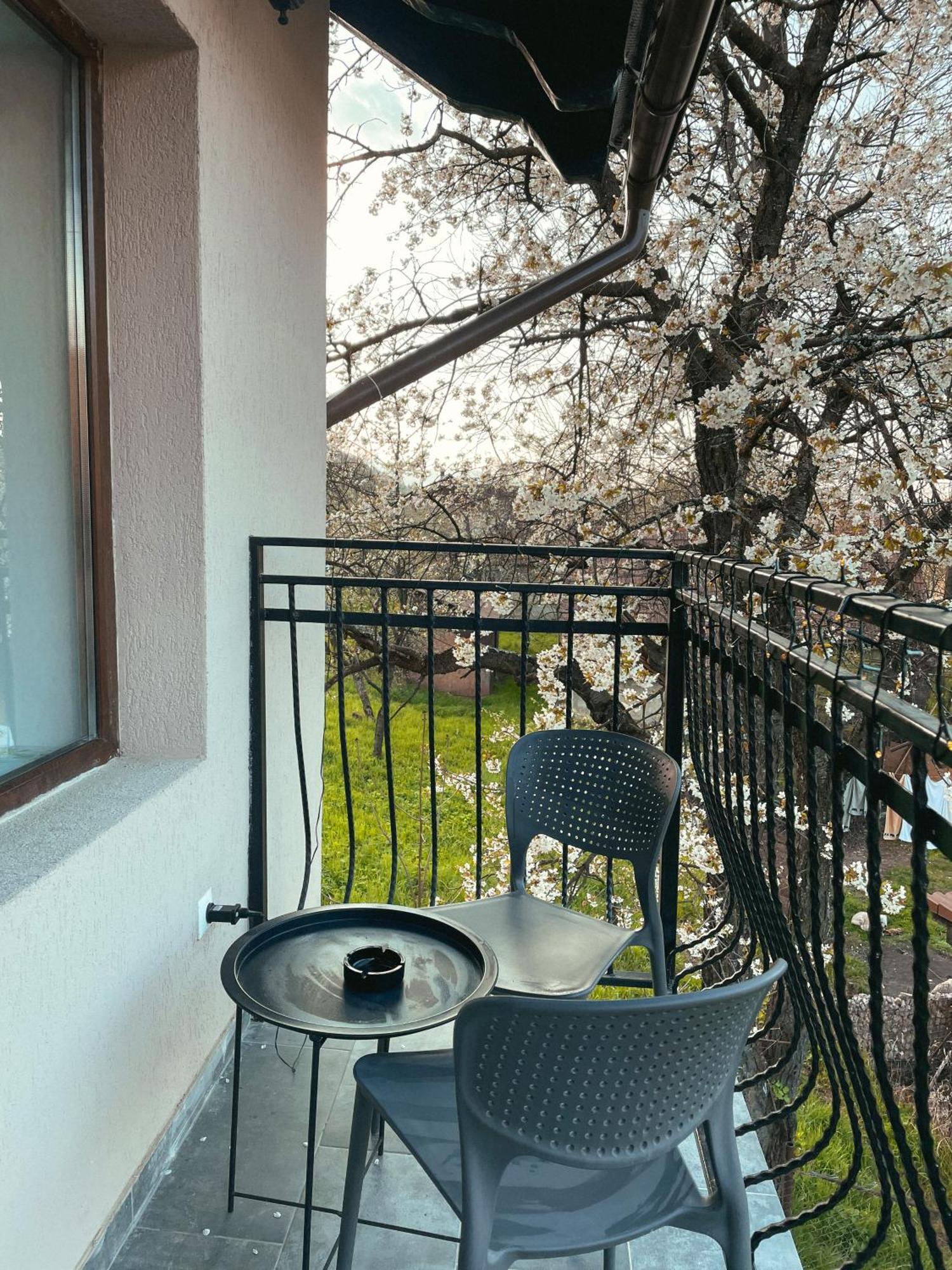Transylvania Mountain View Cdi Bran  Habitación foto